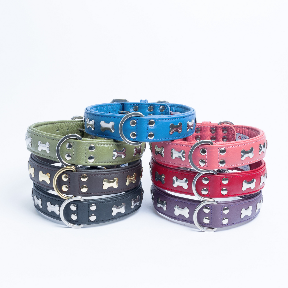 Dog collars discount ontario