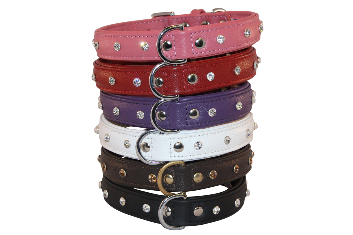 Angel dog outlet collar